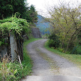 DSC_1014.JPG