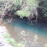 DSC_1015.JPG
