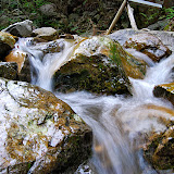 DSC_1082.JPG