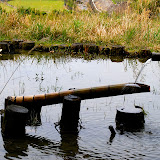 DSC_1101.JPG
