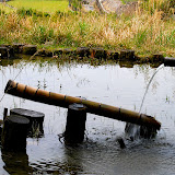 DSC_1103.JPG