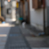 メガネを外した視力0.03の世界。