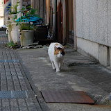 DSC_1168.JPG