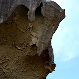 DSC_1204.jpg