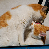DSC_1813.JPG