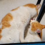 DSC_1816.JPG
