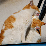 DSC_1818.JPG