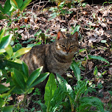 DSC_0204.JPG