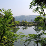 DSC_1235.JPG