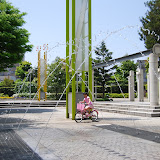 DSC_1255.JPG