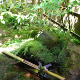 DSC_1284.JPG