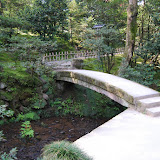 DSC_1215.JPG