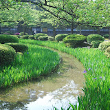 DSC_1220.JPG