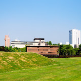 DSC_1198.JPG