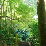 DSC_1521.jpg