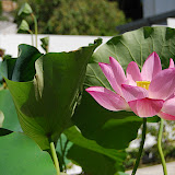 DSC_1583.JPG