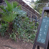 知らん間に井の頭公園にカフェができていた。