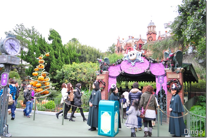 DSC_7055 DSC_7055