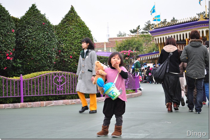 DSC_7056 DSC_7056