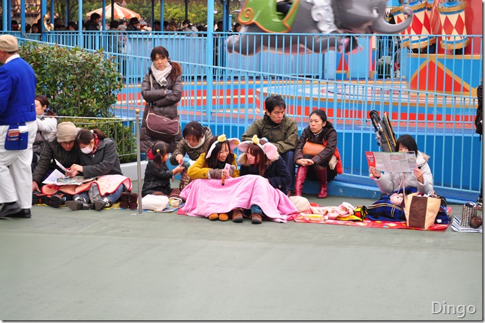 DSC_7067 DSC_7067
