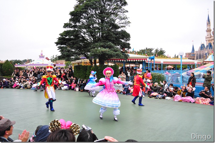 DSC_7095 DSC_7095
