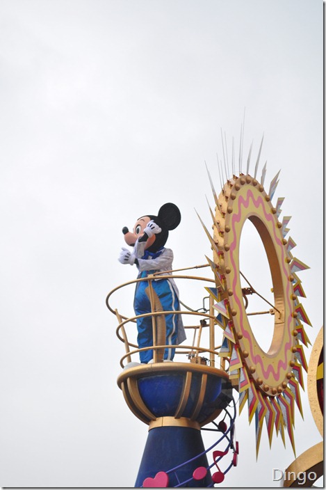 DSC_7195 DSC_7195