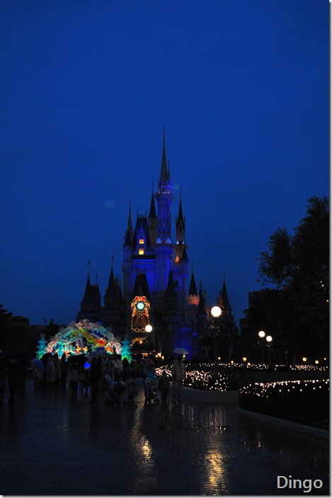 DSC_7289 DSC_7289