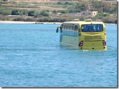 Autocarro Aquatico (4)
