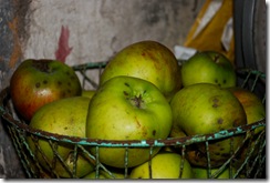 apples apples