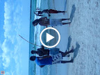 Capoeira capoeira videos