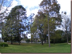 DSCF0639
