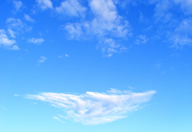 [sky[2].jpg]