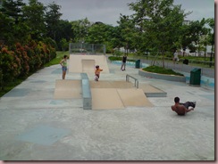 P100109_16.45