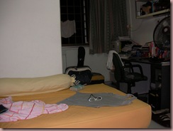 SANY3310