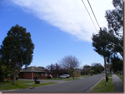 DSCF0533