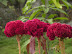 DSCN3470.JPG