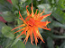 DSCN4882.JPG
