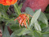 DSCN4883.JPG