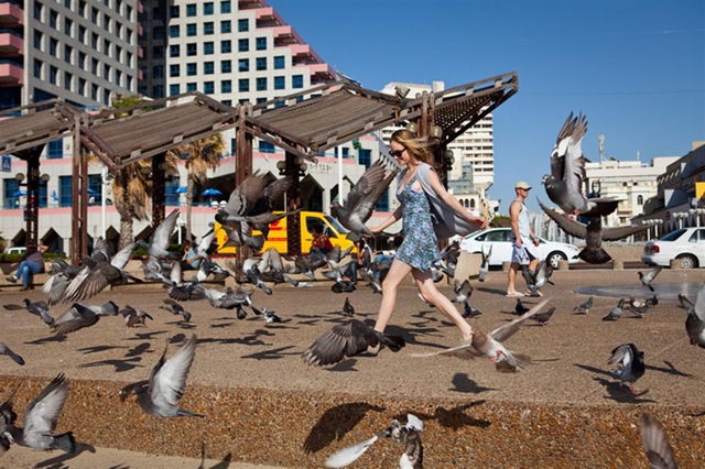 [_MG_6421 (Large)[4].jpg]