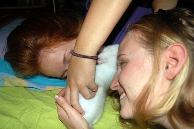 [DSC_1838 (Large)[4].jpg]