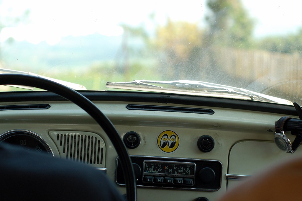 [DSC_06973.jpg]