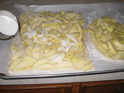 IMG_6398 IMG_6398