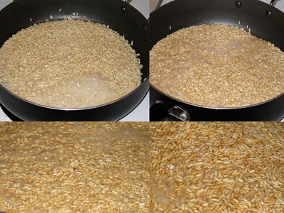 Browning Rice2 Browning Rice2