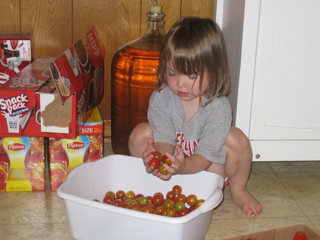 [IMG_8489_Resized[3].jpg]
