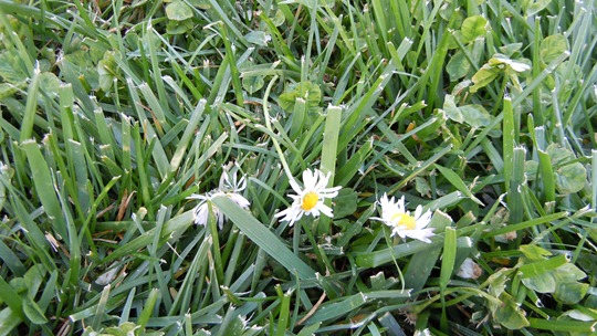 [DSCN01096.jpg]