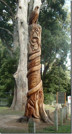 Australia Tree