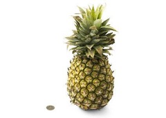 33-pineapple