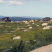 DSC00122.JPG
