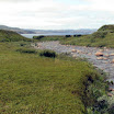 DSC00153.JPG