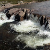 DSC00157.JPG